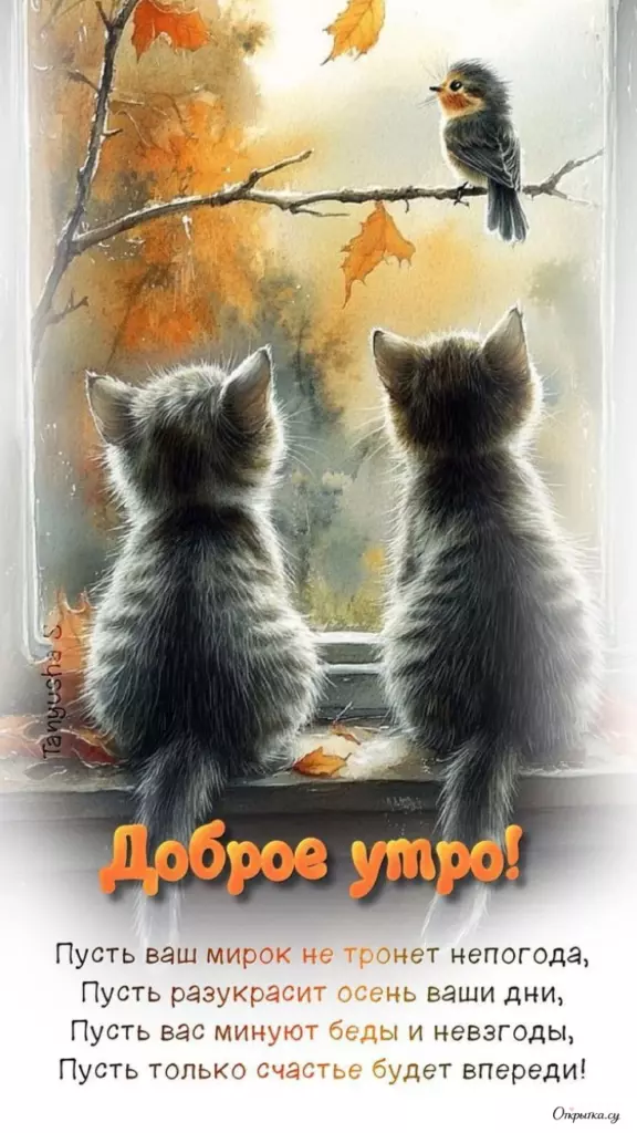 Открытка с теплотой доброе утро в красивом стиле