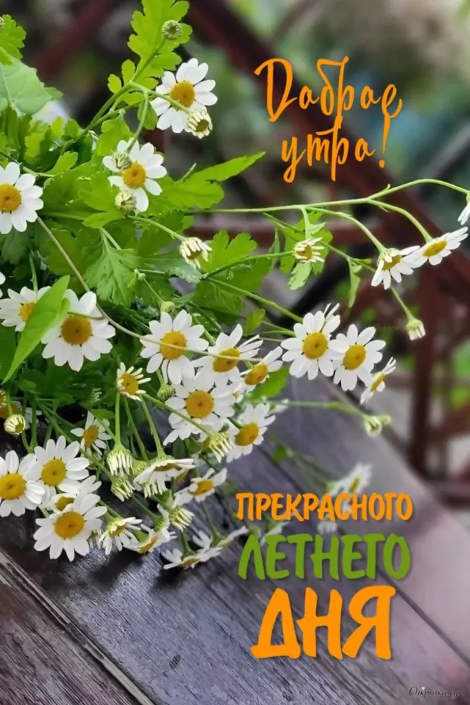 Картинка в тематике доброе утро с приятным настроением
