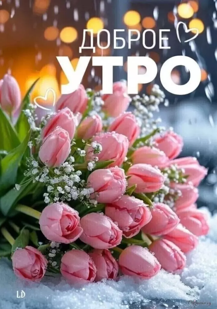 Картинка с пожеланиями доброе утро с душевной подачей