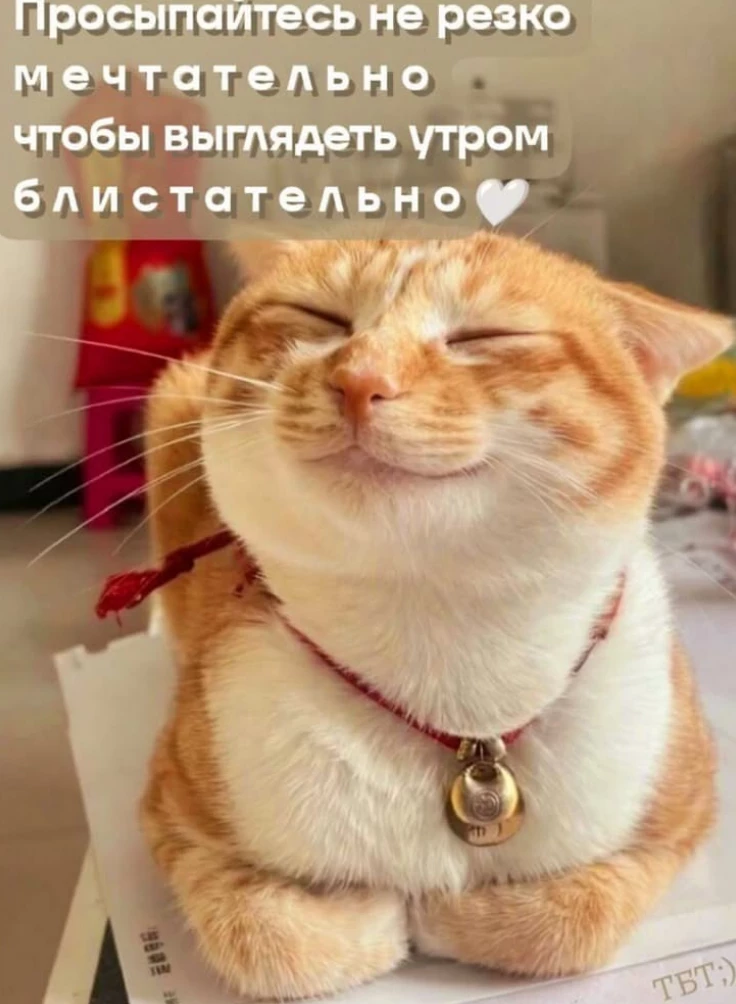 Открытка с атмосферой доброе утро с теплыми словами