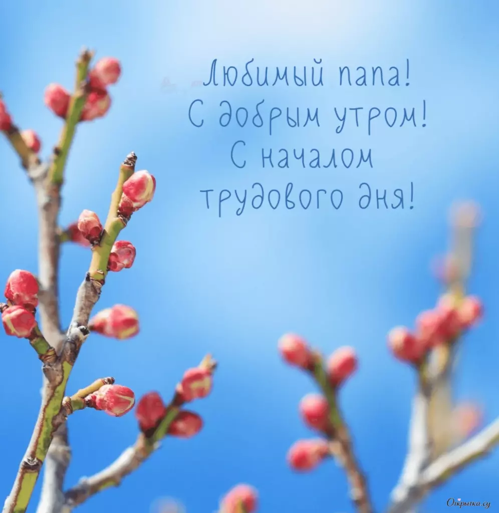 Картинка с теплотой доброе утро папа с добрыми словами