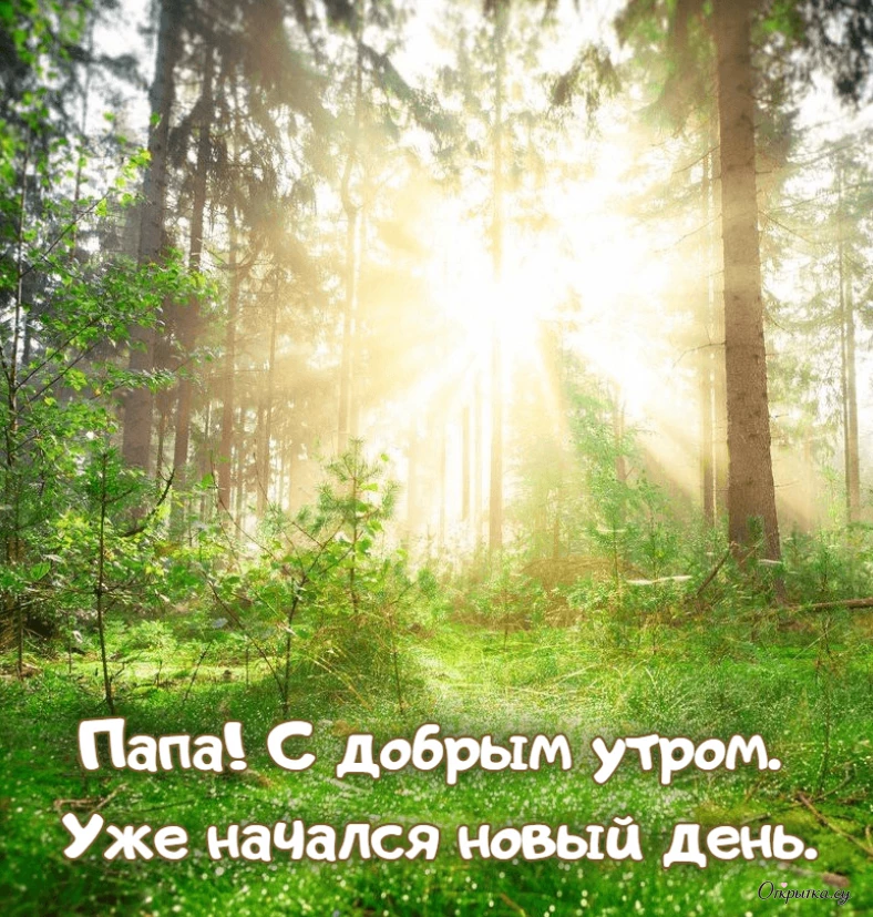 Картинка со светлым настроением доброе утро папа с душевной подачей