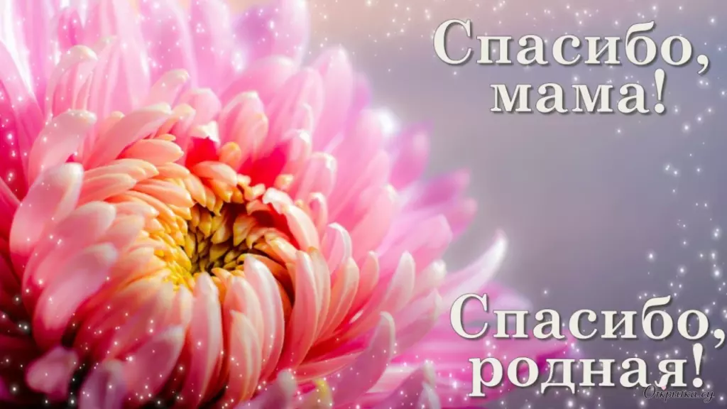 Поздравление в открытке: мама спасибо с праздничной атмосферой