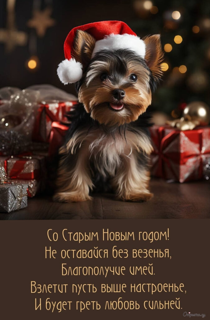 Открытка для хорошего настроения: старый новый год стих для близкого человека