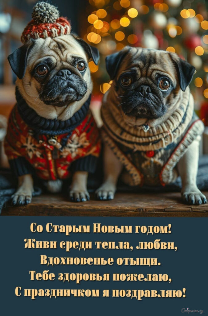 Картинка с теплыми словами старый новый год стих для близкого человека