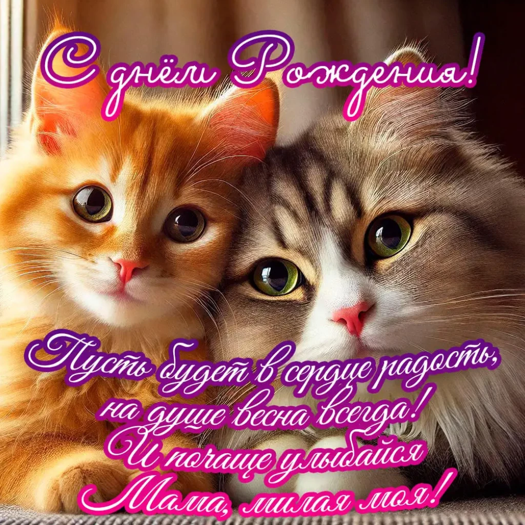 Открытка