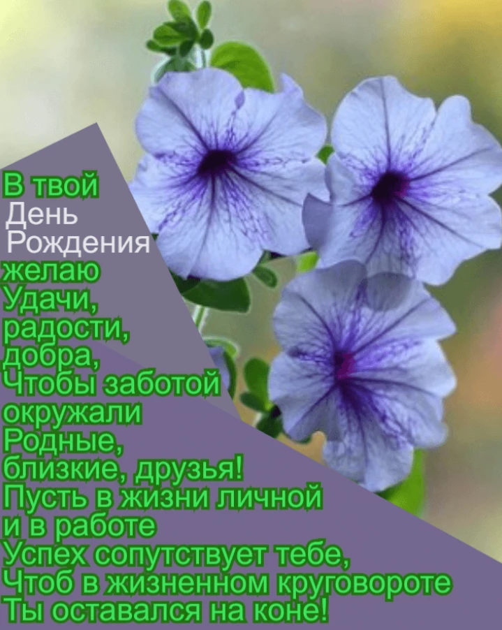 Открытка