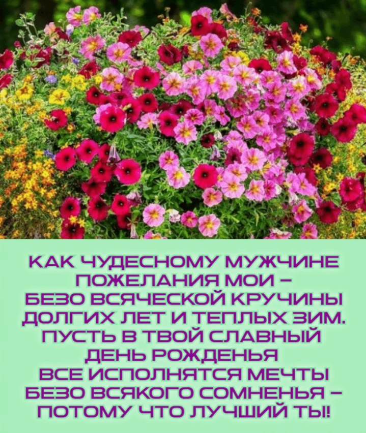 Открытка