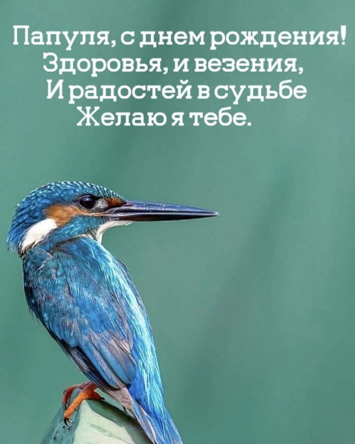 Открытка