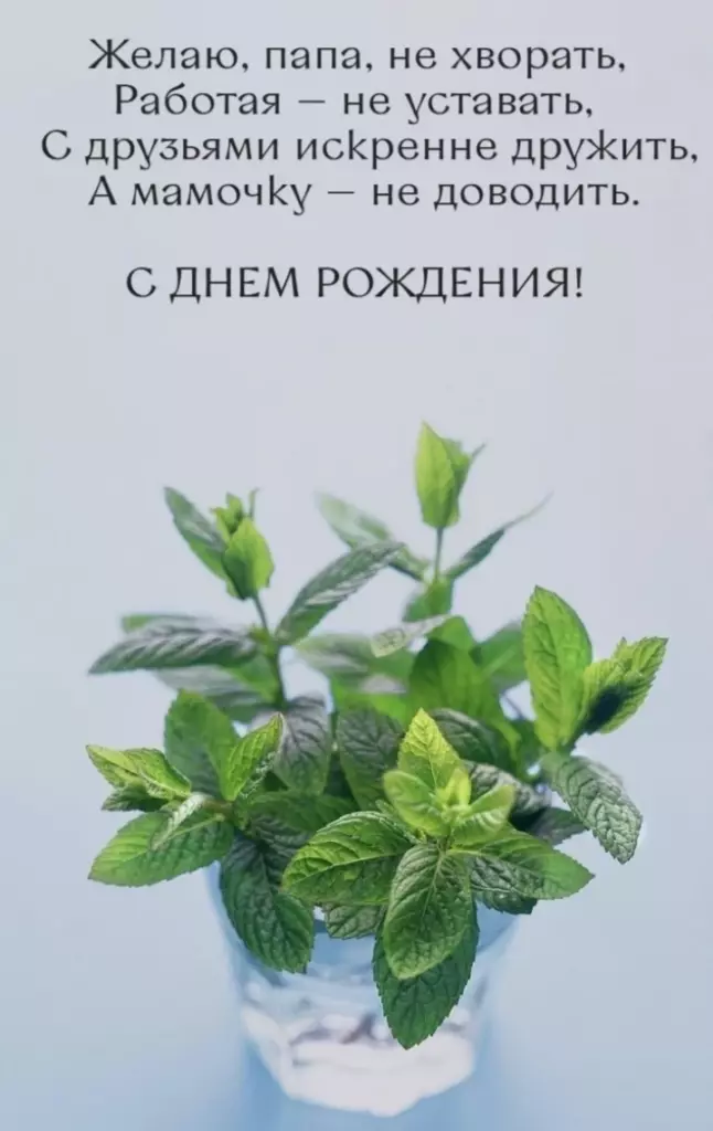 Открытка