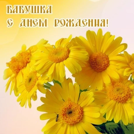 Открытка