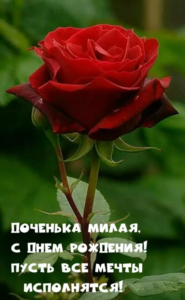 Открытка