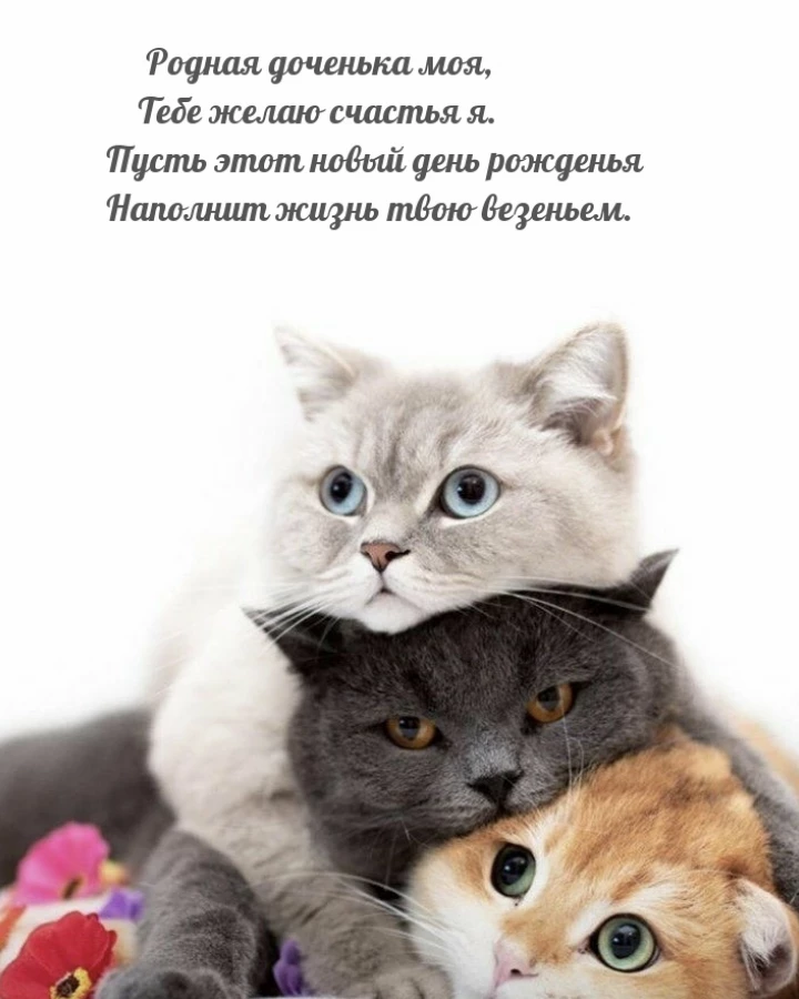 Открытка