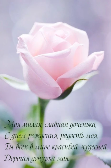 Открытка