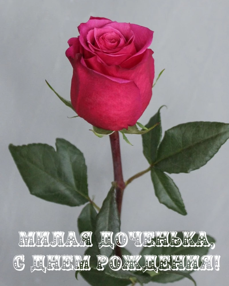 Открытка
