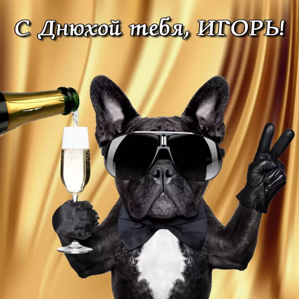 Картинка для хорошего настроения: игорь с днем рождения в красивом стиле