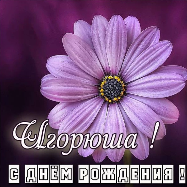 Открытка со светлым настроением игорь с днем рождения с душевной подачей