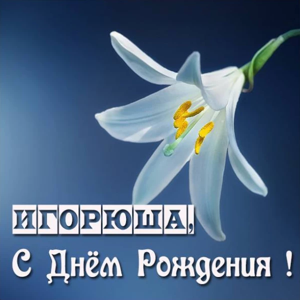 Открытка в красивом оформлении игорь с днем рождения с мягким настроением