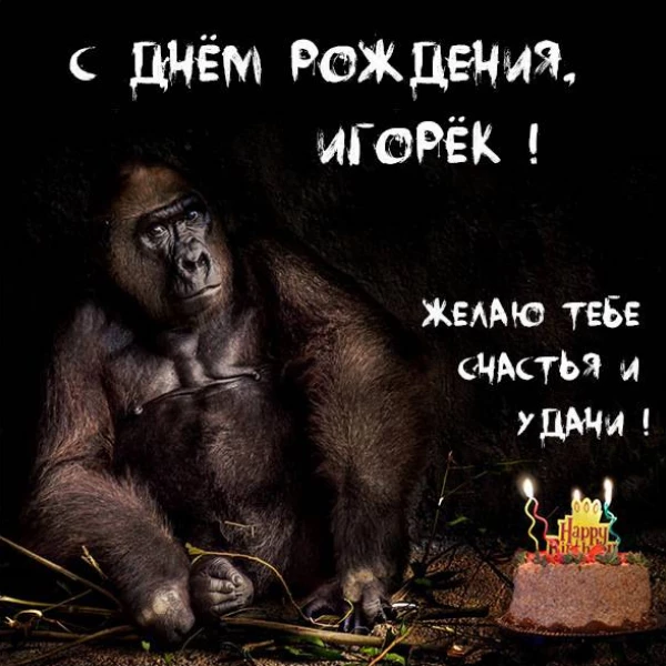 Тематическая открытка игорь с днем рождения с ярким оформлением
