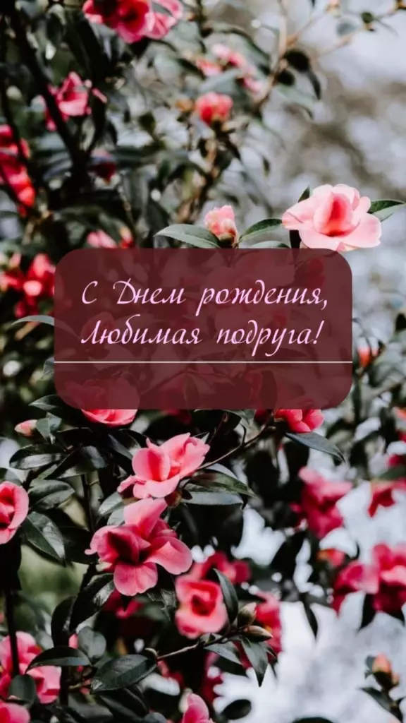 Открытка