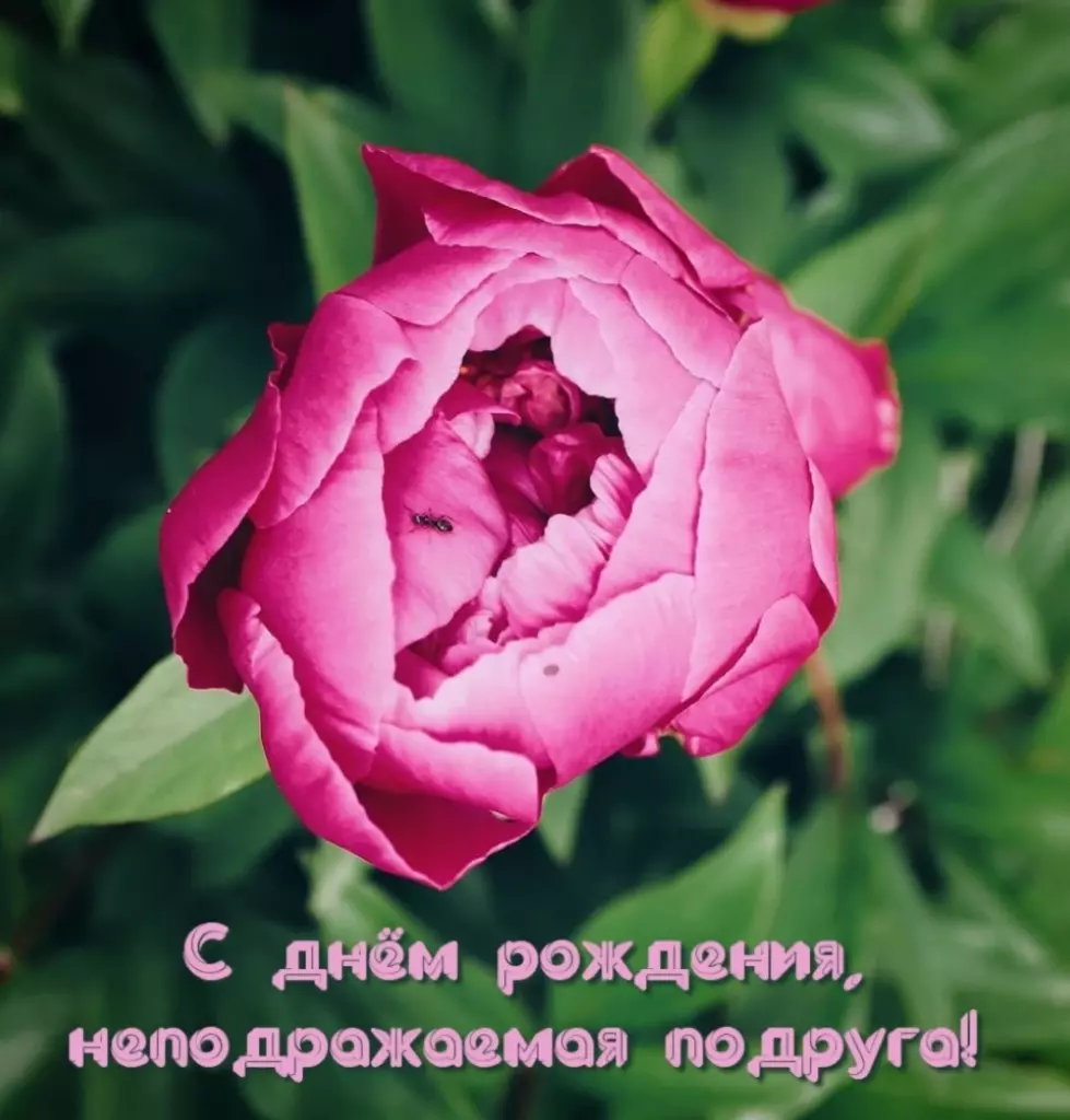 Открытка