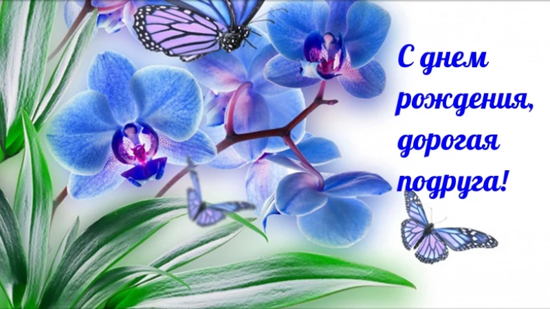 Открытка