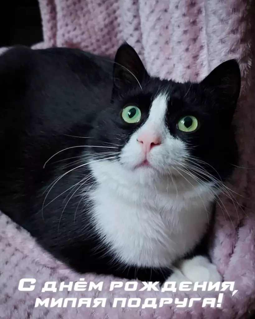 Открытка