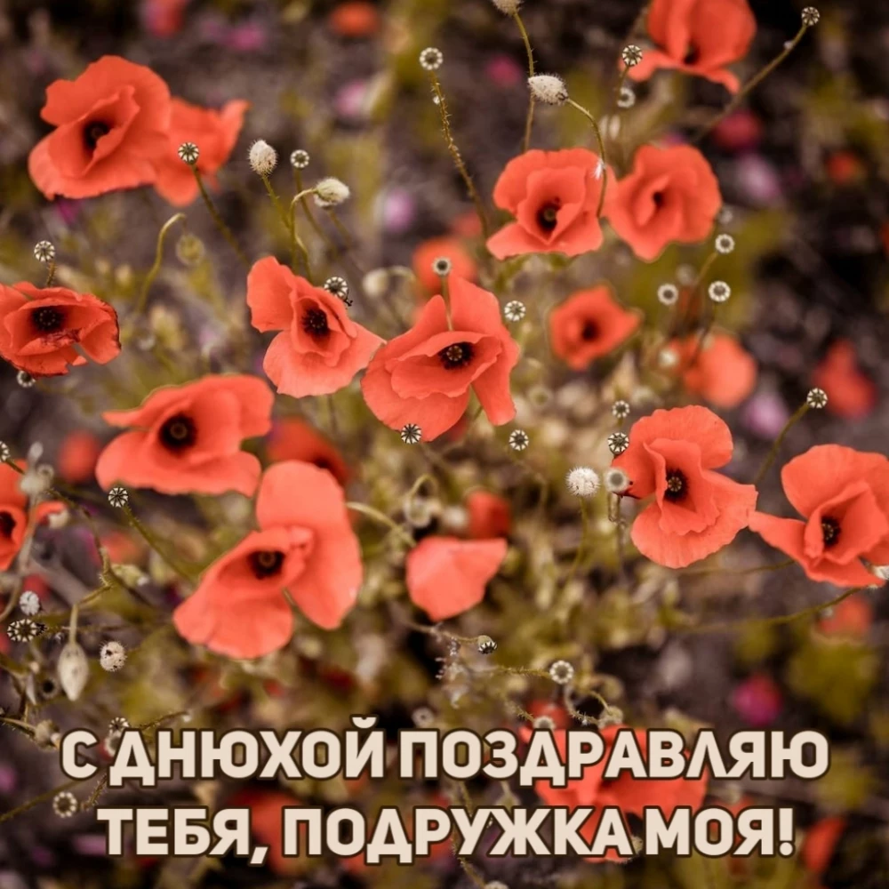 Открытка