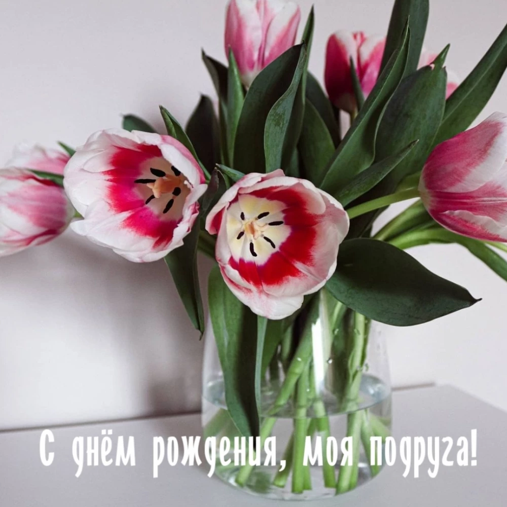 Открытка