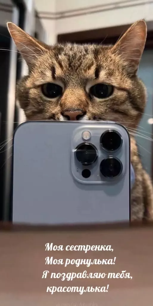 Открытка