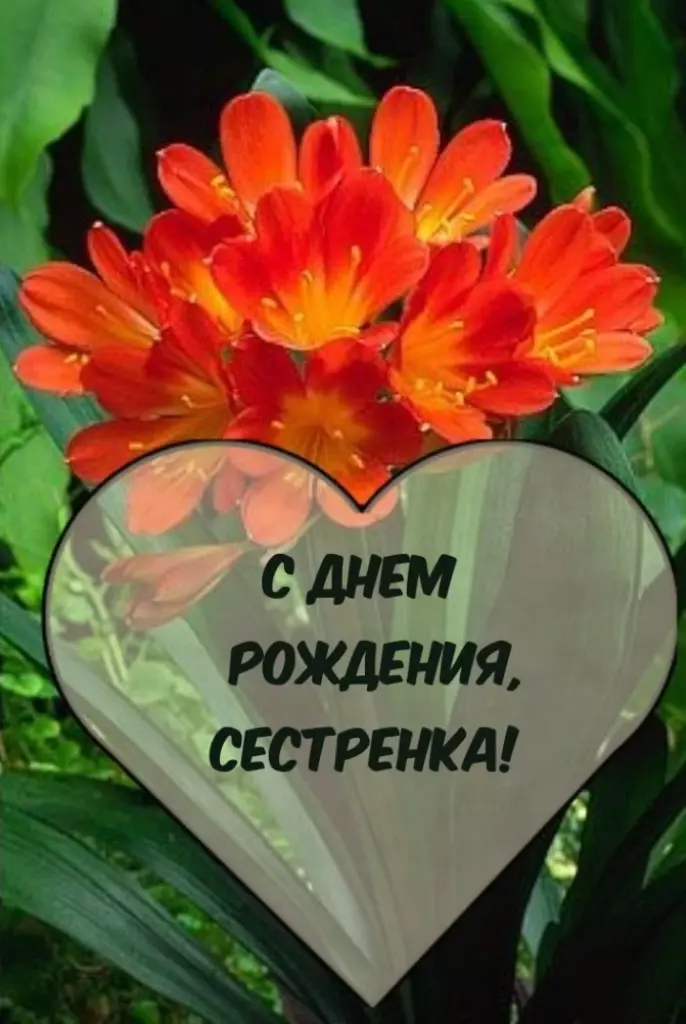 Открытка