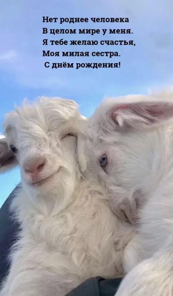 Открытка