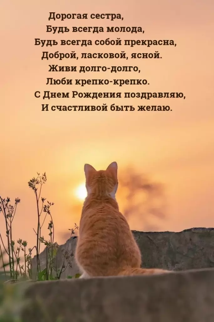 Открытка