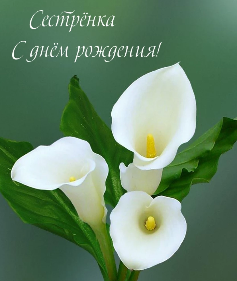 Открытка