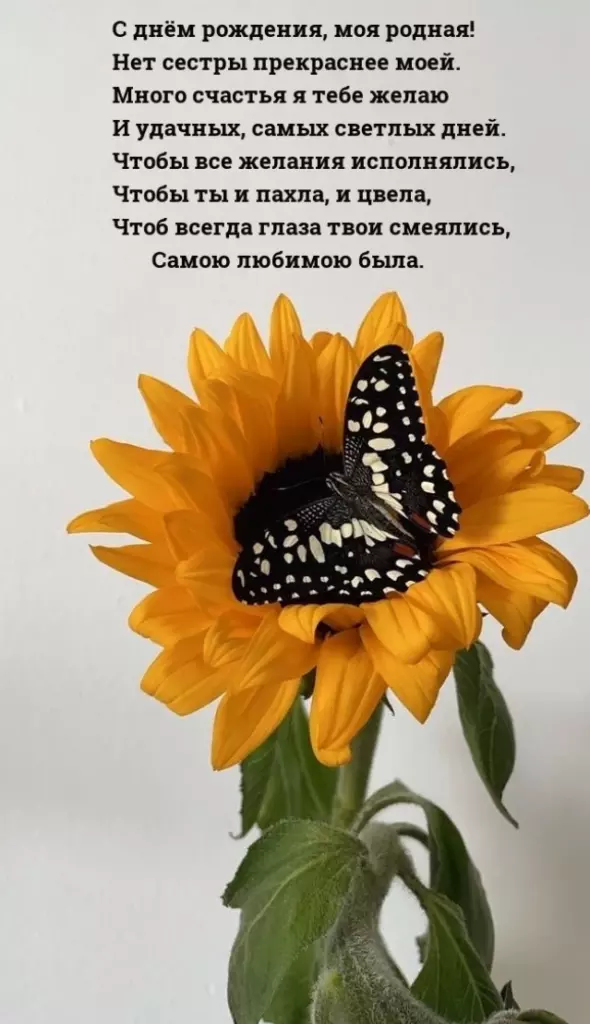 Открытка