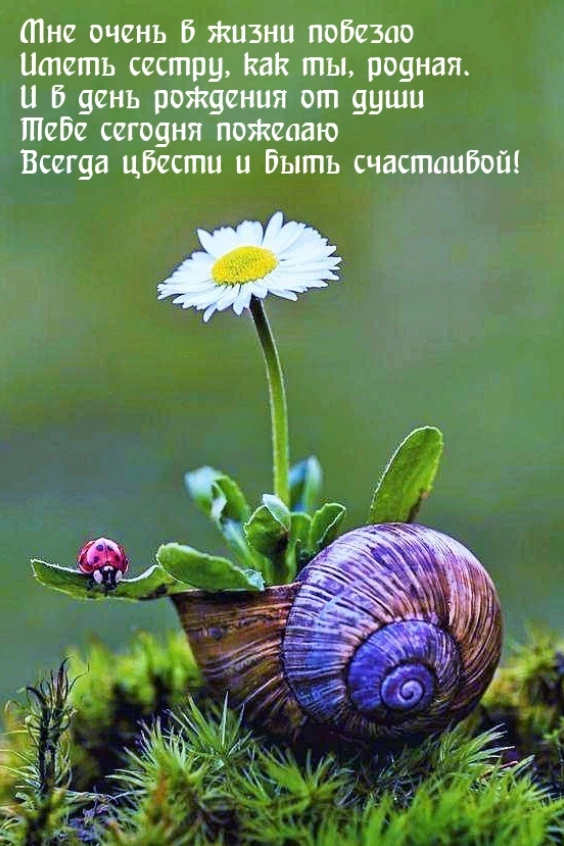 Открытка