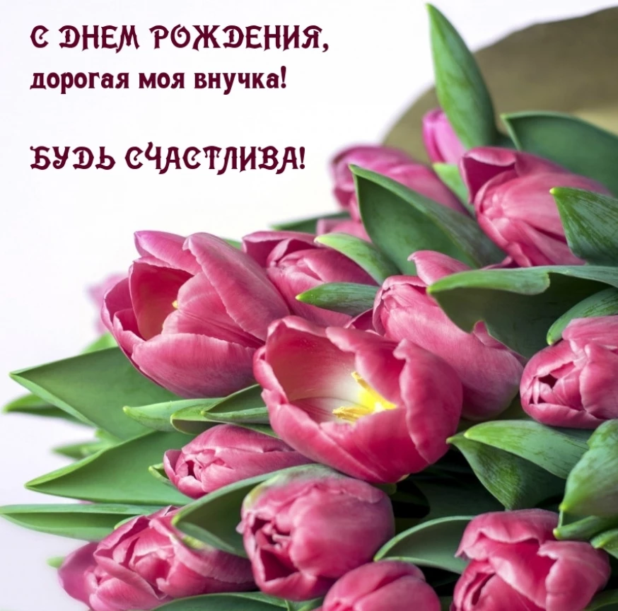Открытка