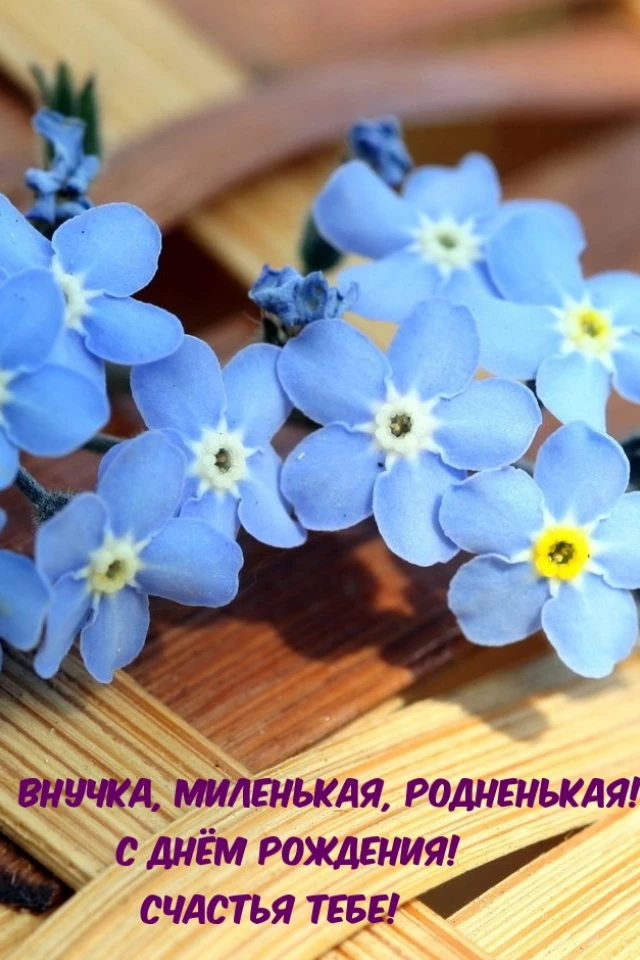 Открытка