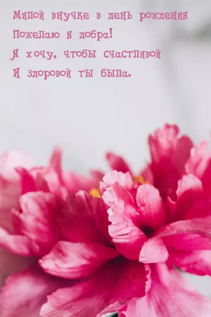 Открытка