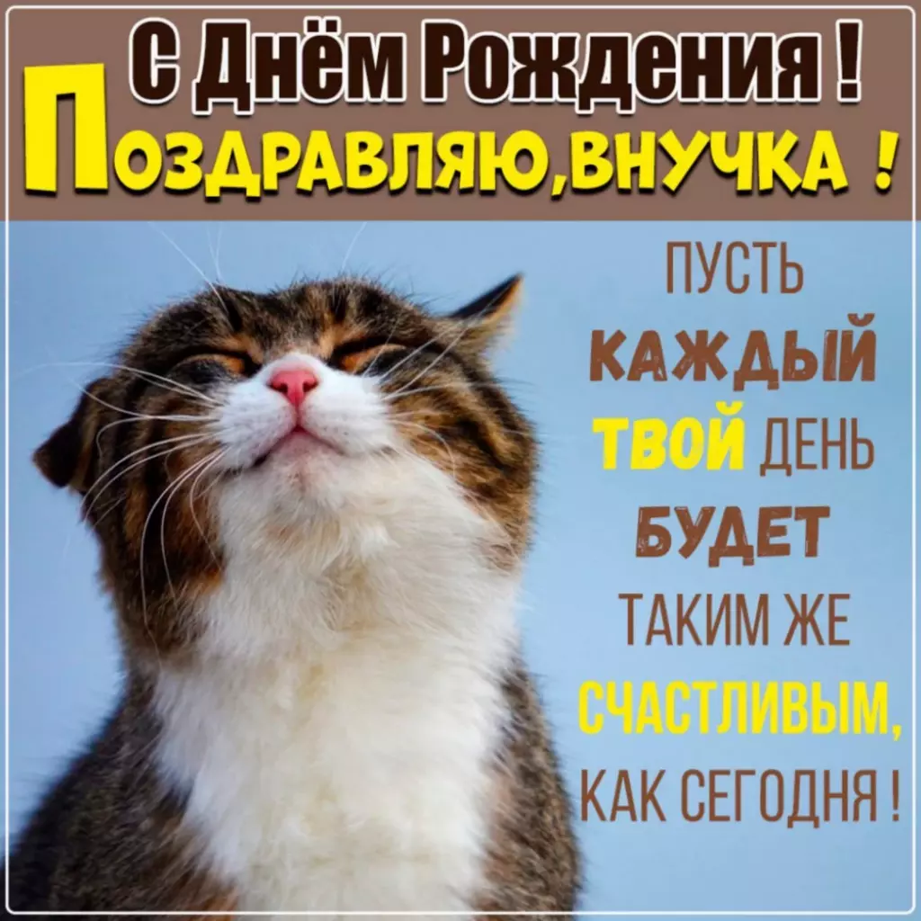 Открытка