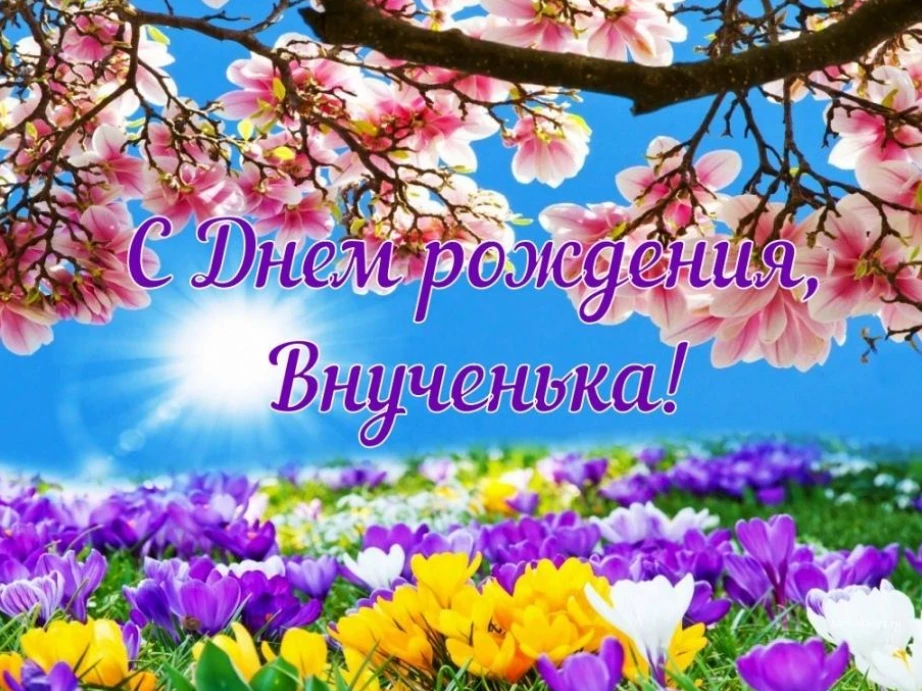 Открытка