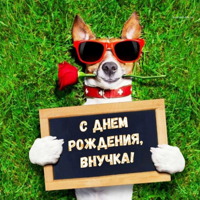Открытка