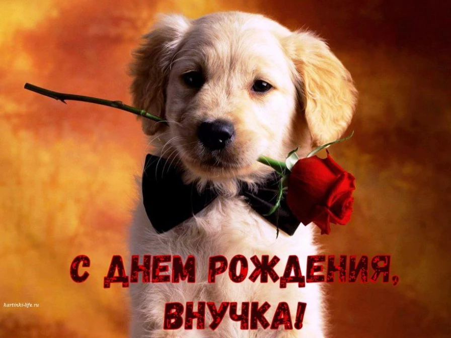 Открытка