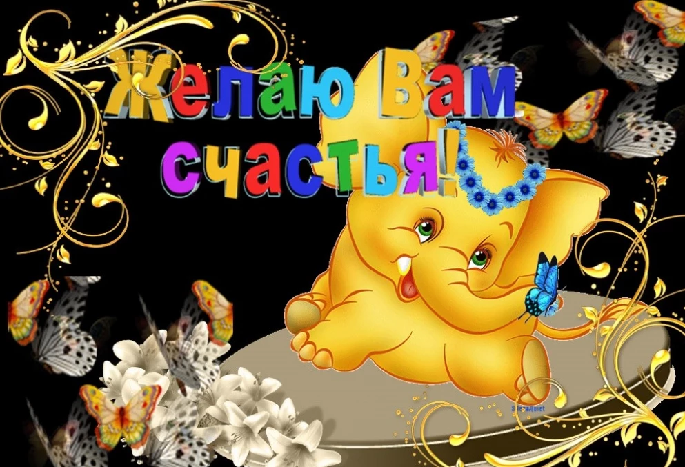 Открытка
