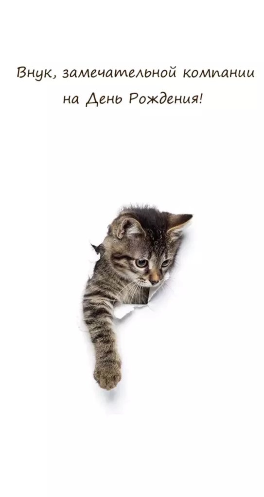 Открытка