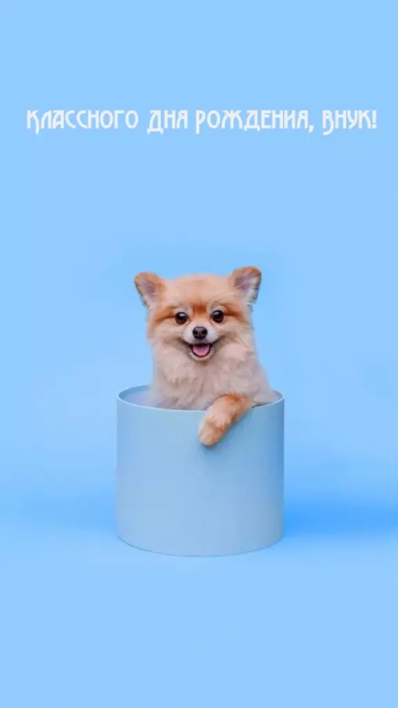 Открытка