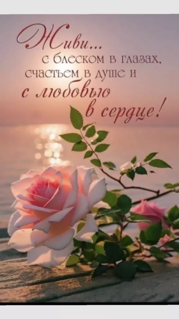 Открытка