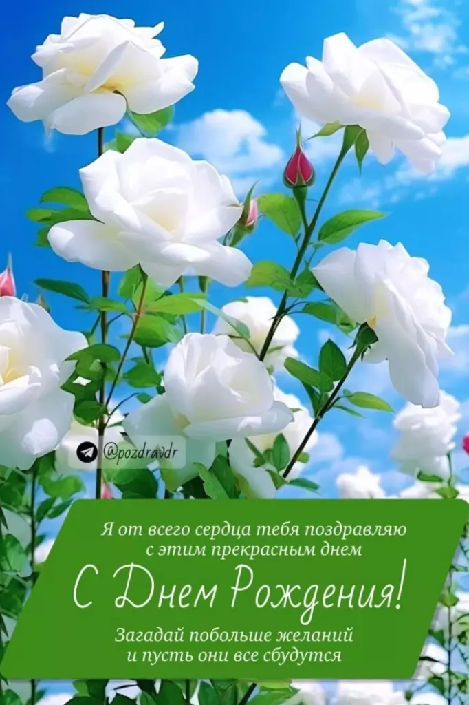 Открытка